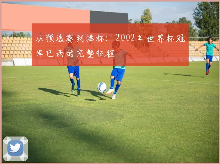 从预选赛到捧杯：2002年世界杯冠军巴西的完整征程