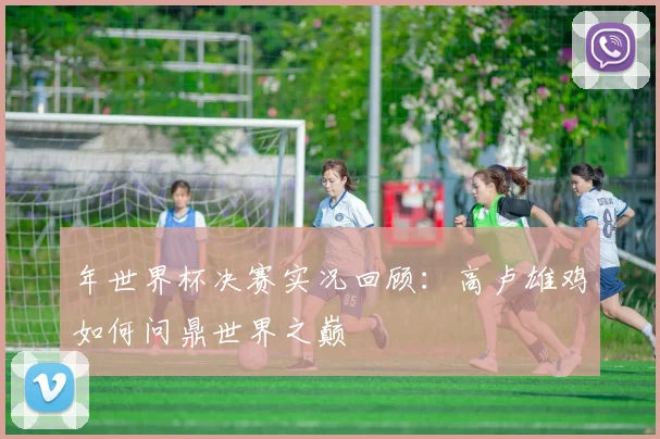 年世界杯决赛实况回顾：高卢雄鸡如何问鼎世界之巅