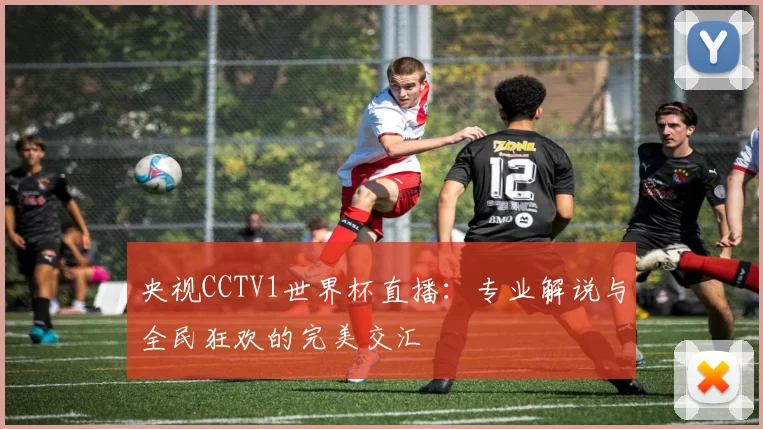 央视CCTV1世界杯直播：专业解说与全民狂欢的完美交汇