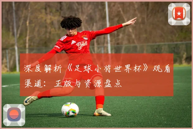 深度解析《足球小将世界杯》观看渠道：正版与资源盘点